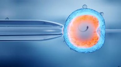 泰国拉玛九医院试管婴儿费用明细是怎样的呢？