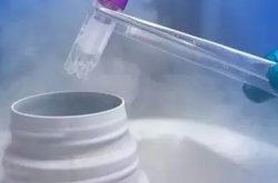 哪个医院可做试管婴儿（西安做试管婴儿哪个医院成功率最高）