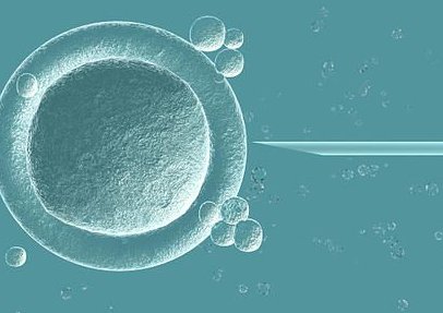 做试管婴儿助孕移植囊胚多久可以测出来？