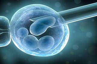 周口本地医院做试管婴儿移植一次手术费用多少？